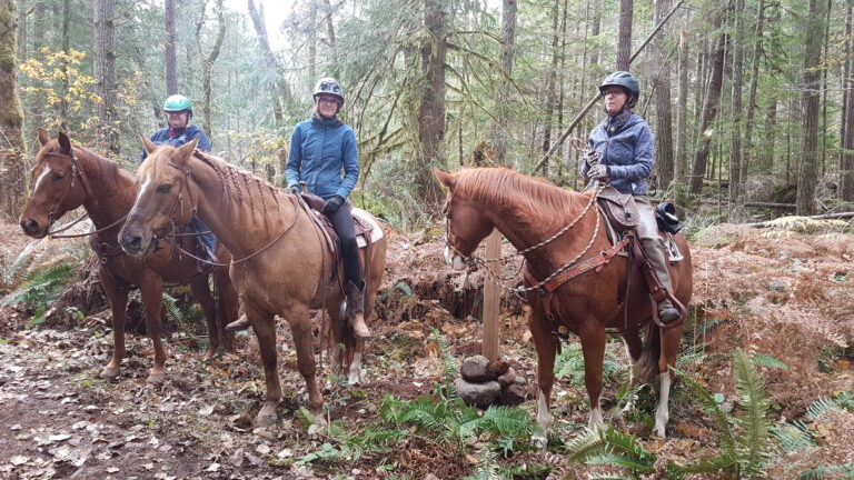 Central Vancouver Island