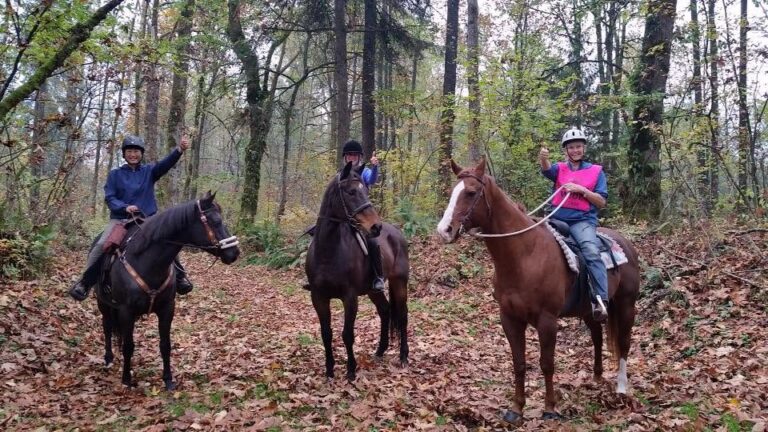 Haney Horsemen