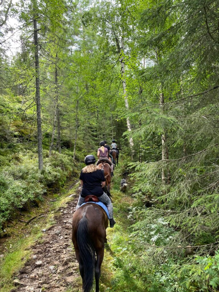 Haney Horsemen