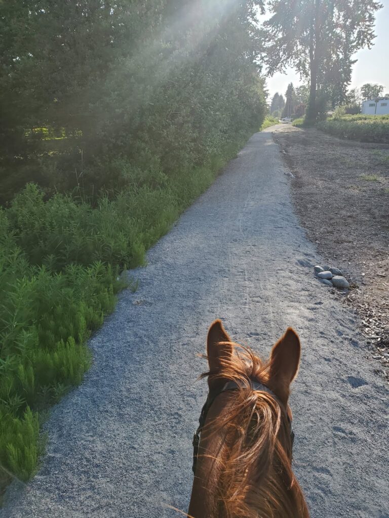 Haney Horsemen