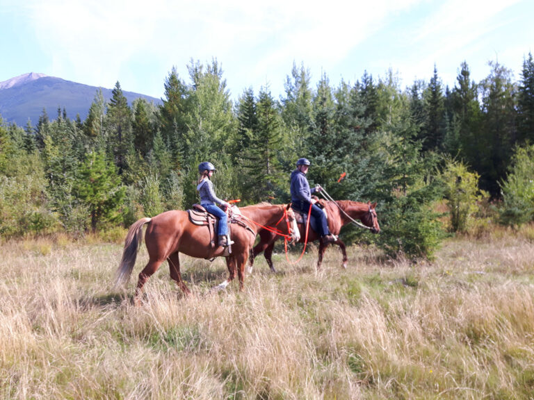 Prince George – Omineca