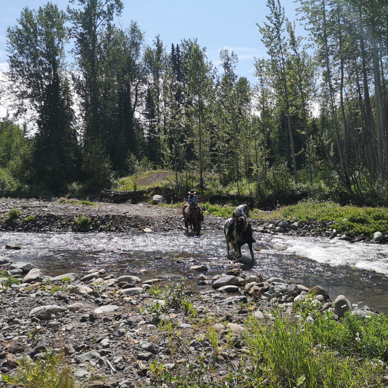Prince George – Omineca