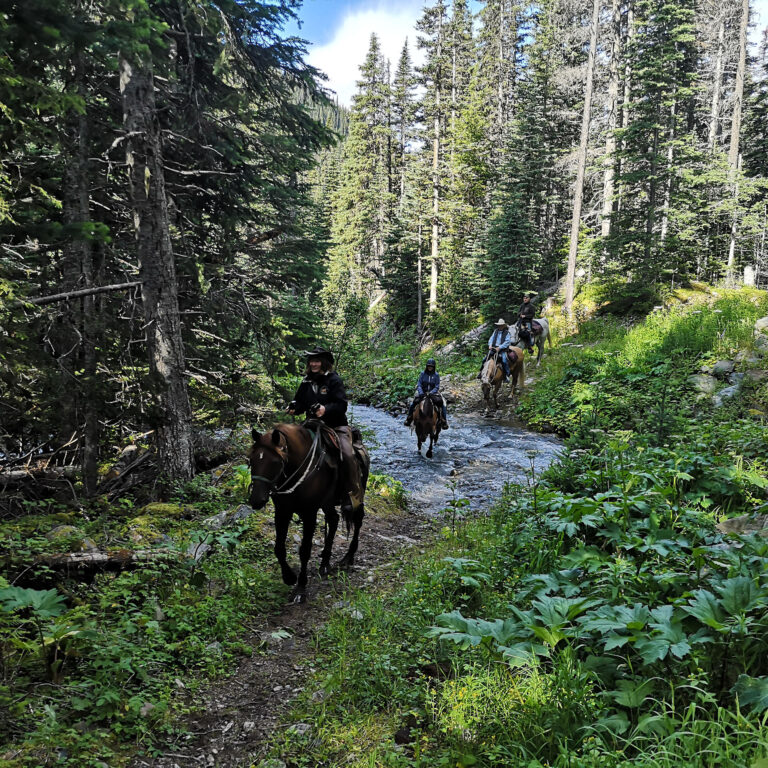 Prince George – Omineca