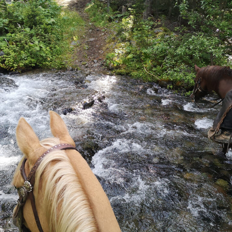 Prince George – Omineca