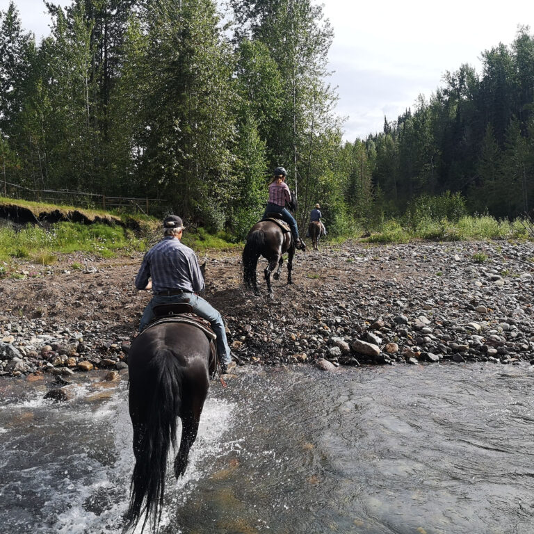 Prince George – Omineca