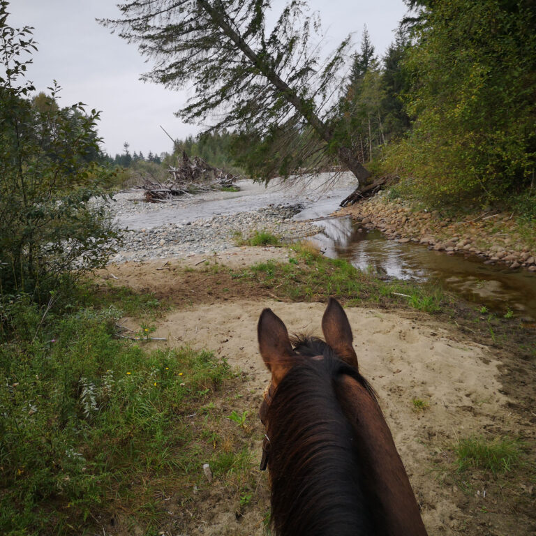 Prince George – Omineca