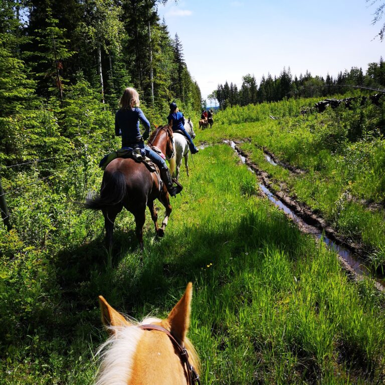 Prince George – Omineca