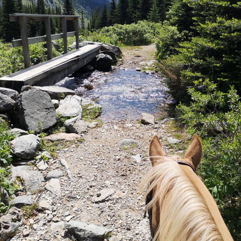 Prince George – Omineca