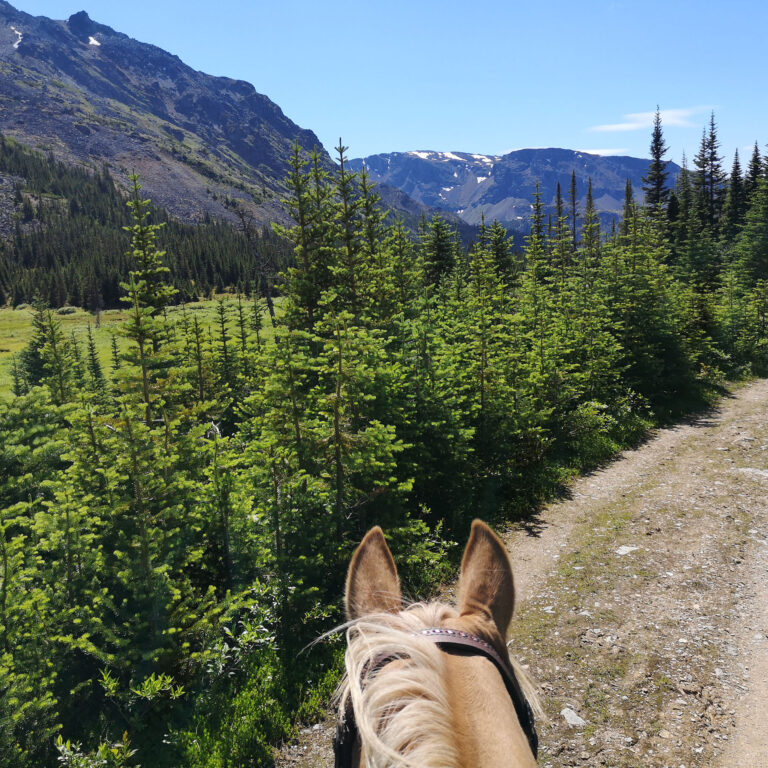 Prince George – Omineca