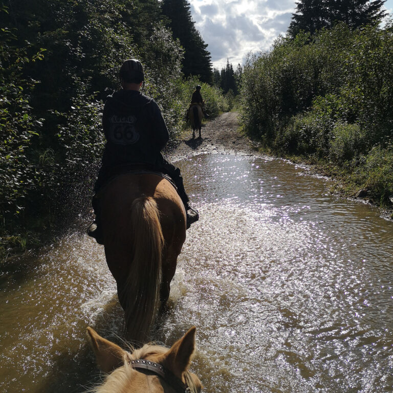 Prince George – Omineca