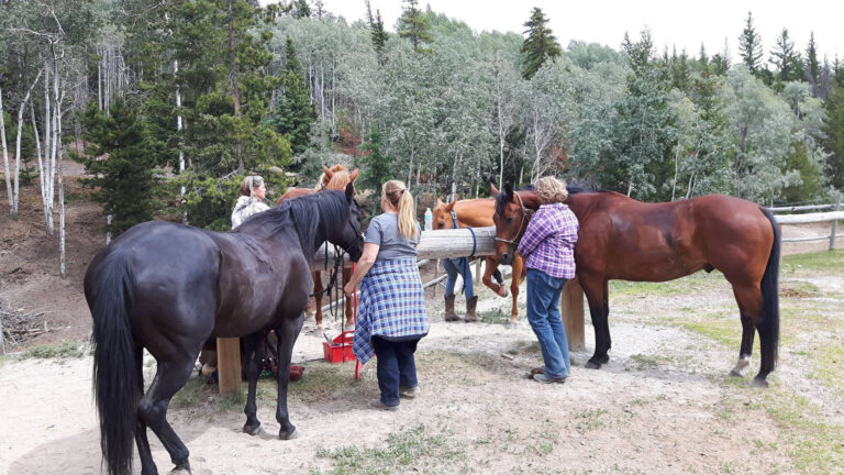 Prince George – Omineca