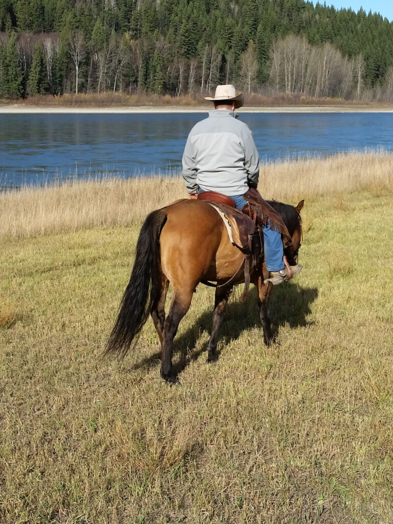Prince George – Omineca