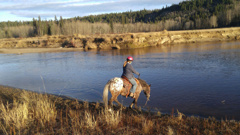 Prince George – Omineca