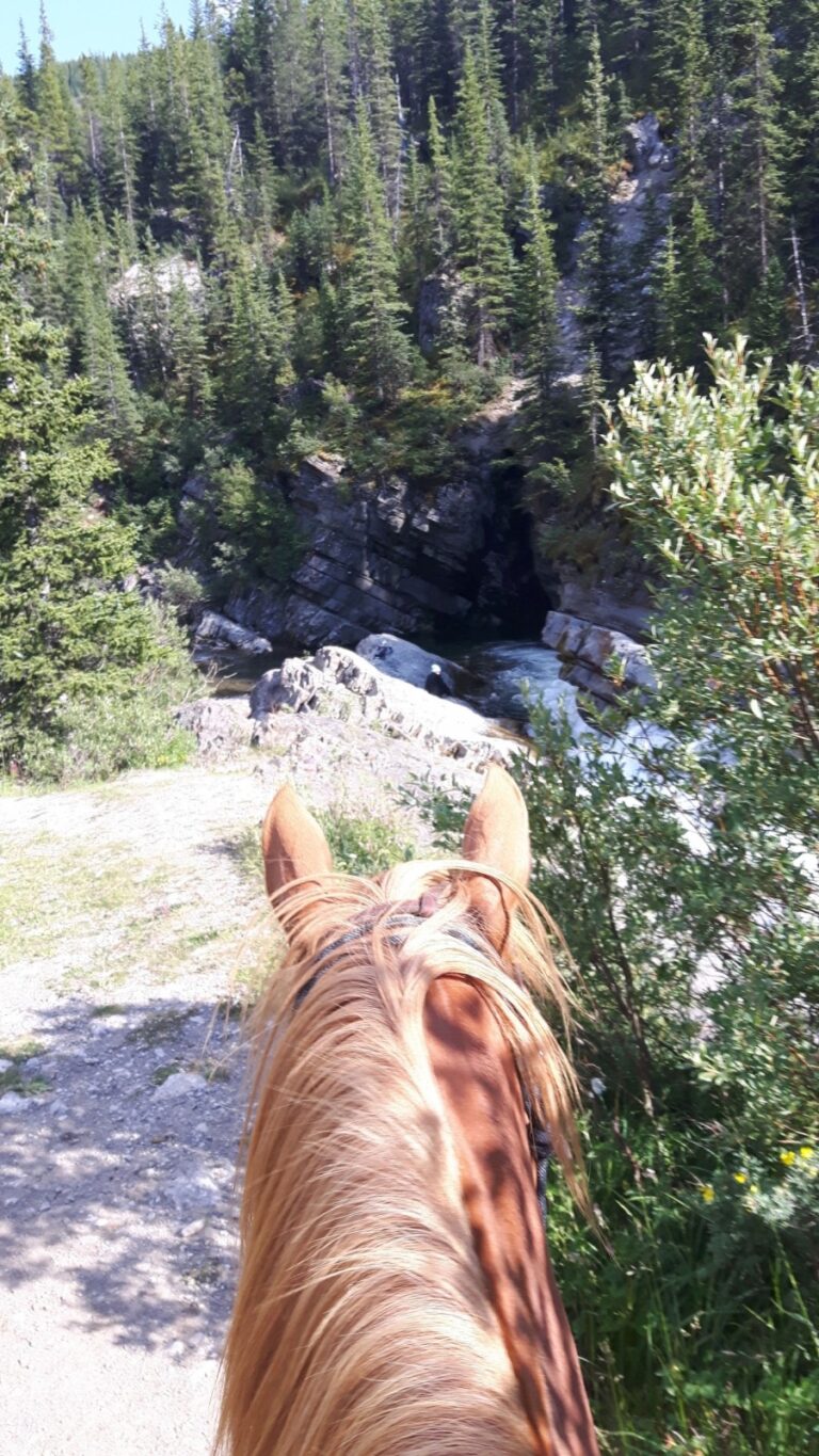 Prince George – Omineca