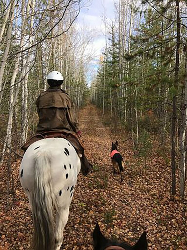 Prince George – Omineca