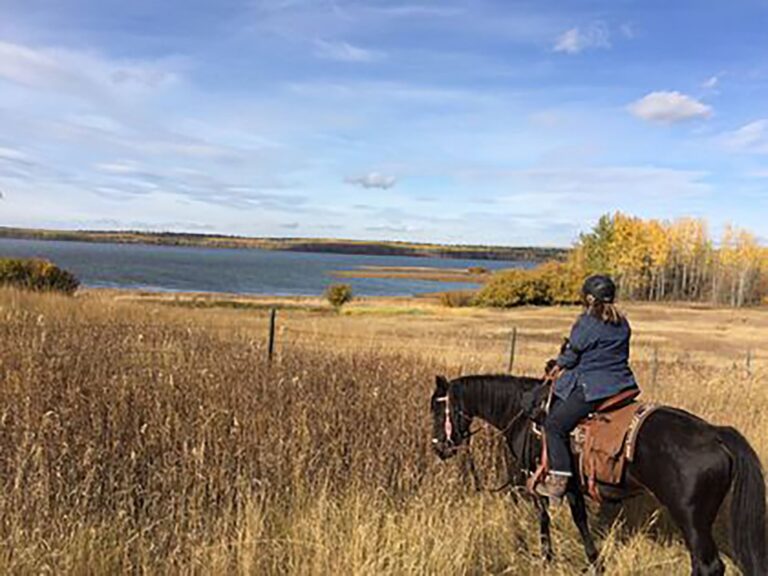 Prince George – Omineca