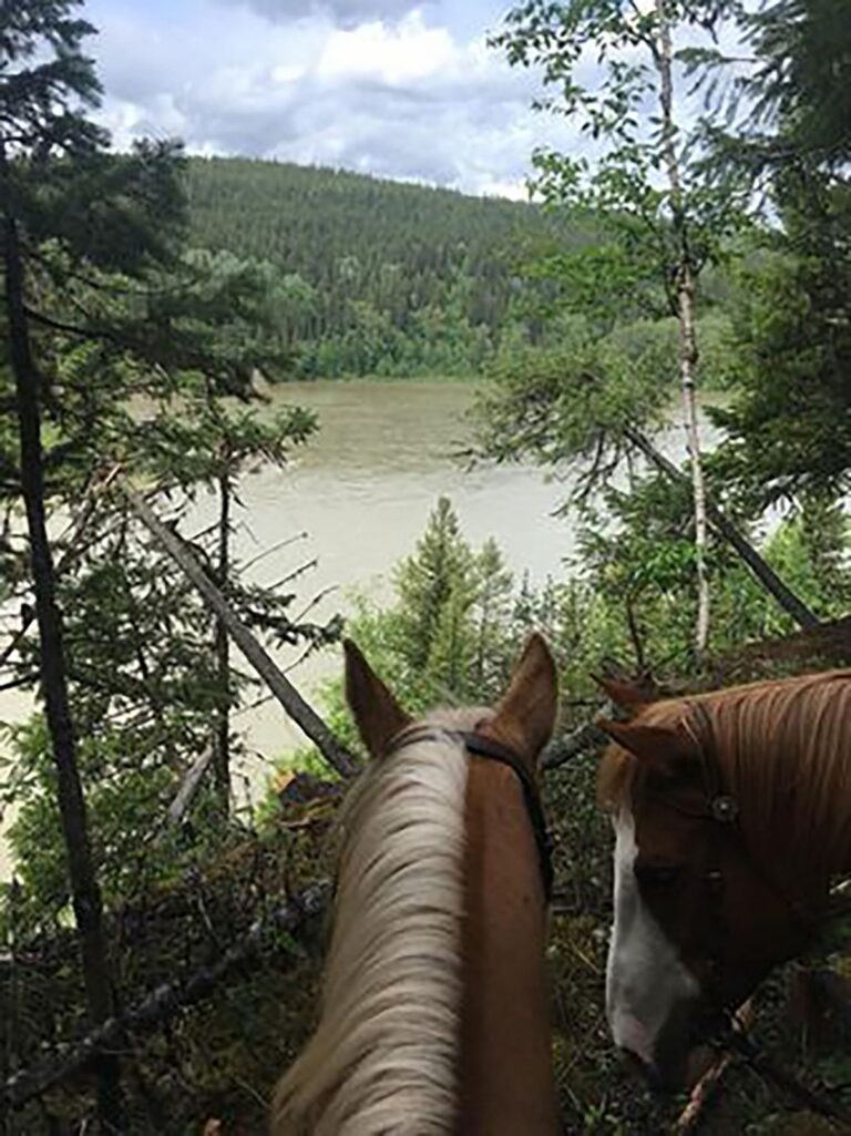 Prince George – Omineca