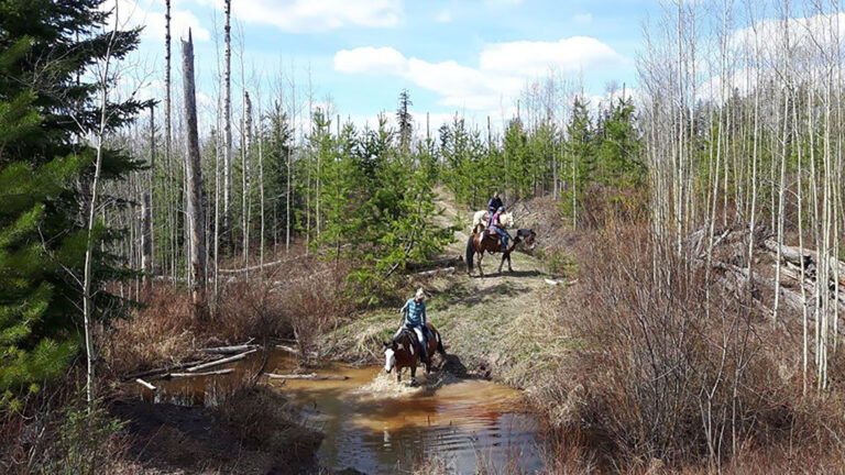 Prince George – Omineca