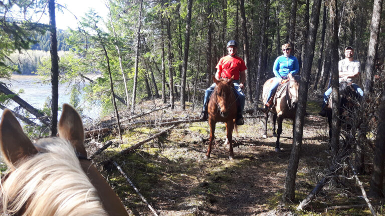 Prince George – Omineca