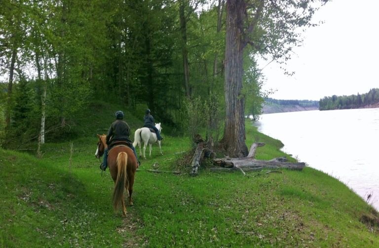 Prince George – Omineca