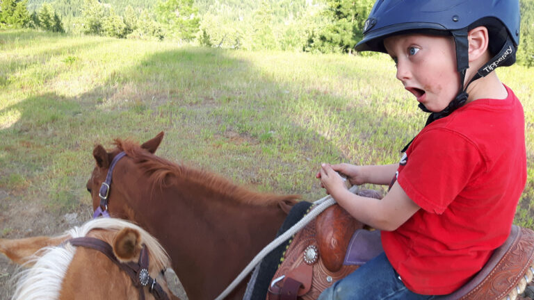 Prince George – Omineca