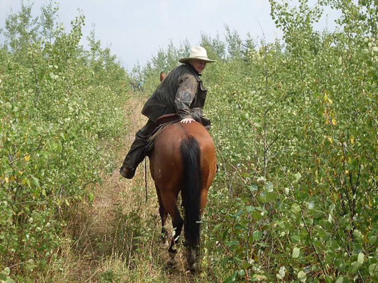 Prince George – Omineca