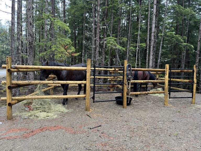 Robson Valley