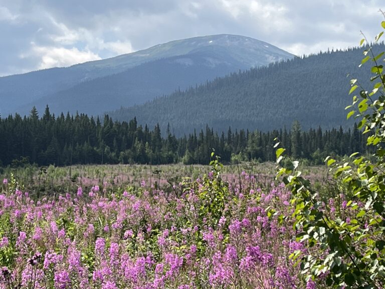 Robson Valley