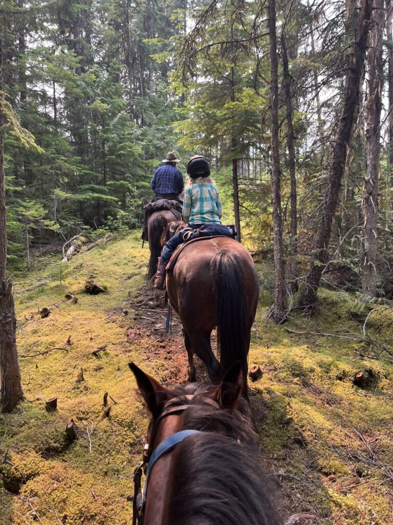 Robson Valley