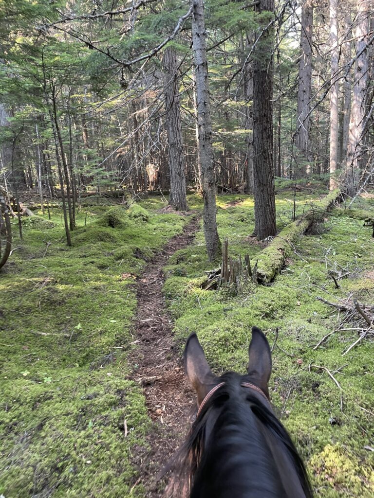 Robson Valley