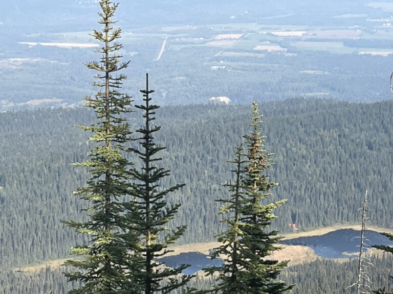 Robson Valley