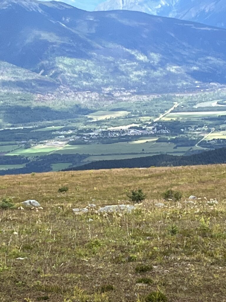 Robson Valley
