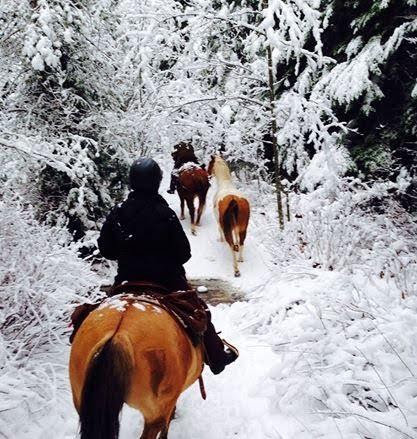 Skeena Stikine