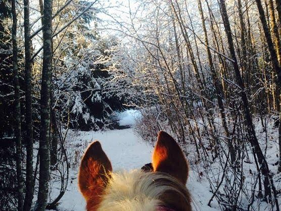 Skeena Stikine