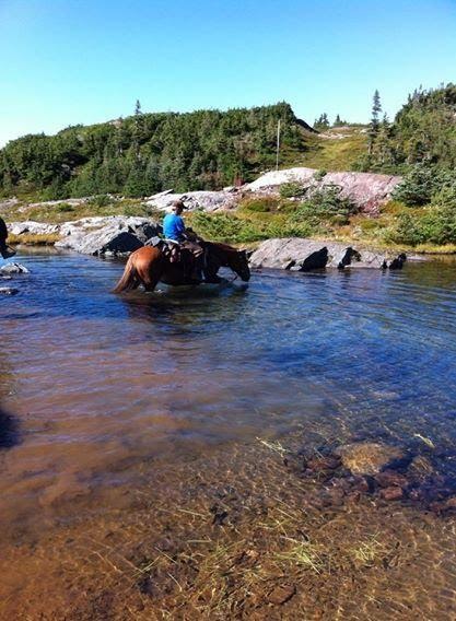 Skeena Stikine