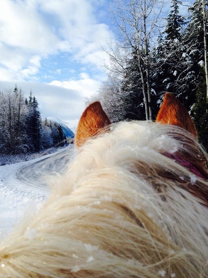 Skeena Stikine
