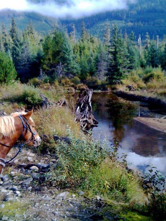 Skeena Stikine