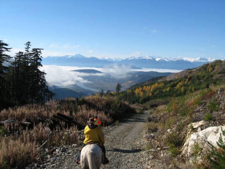 Skeena Stikine