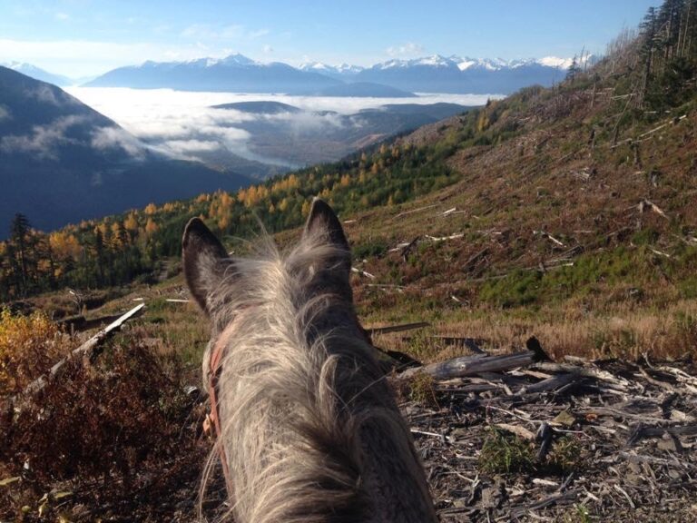 Skeena Stikine