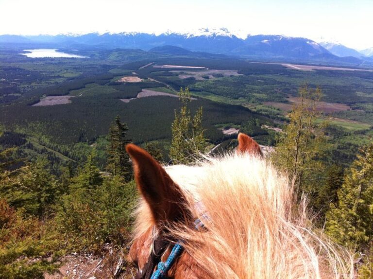Skeena Stikine