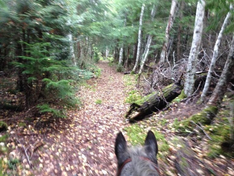 Skeena Stikine