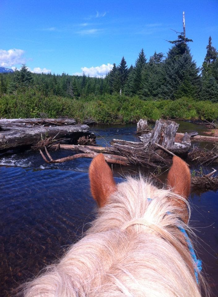 Skeena Stikine