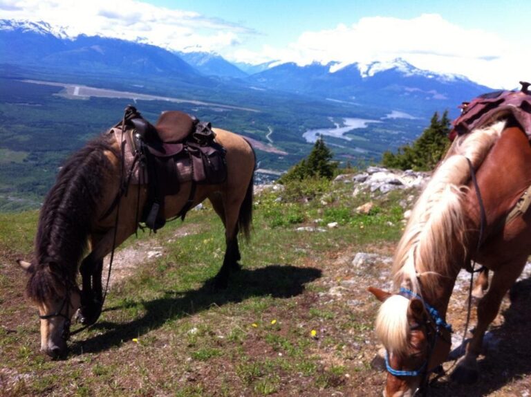 Skeena Stikine