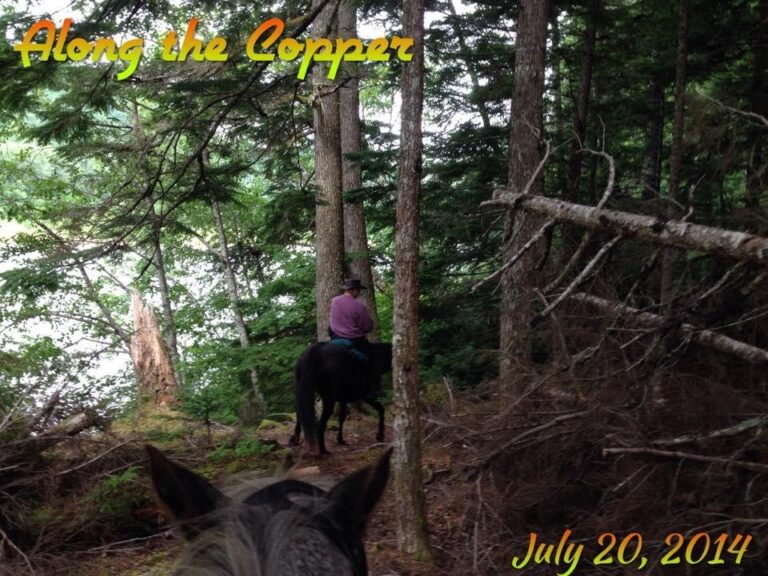 Skeena Stikine