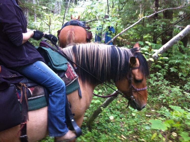 Skeena Stikine