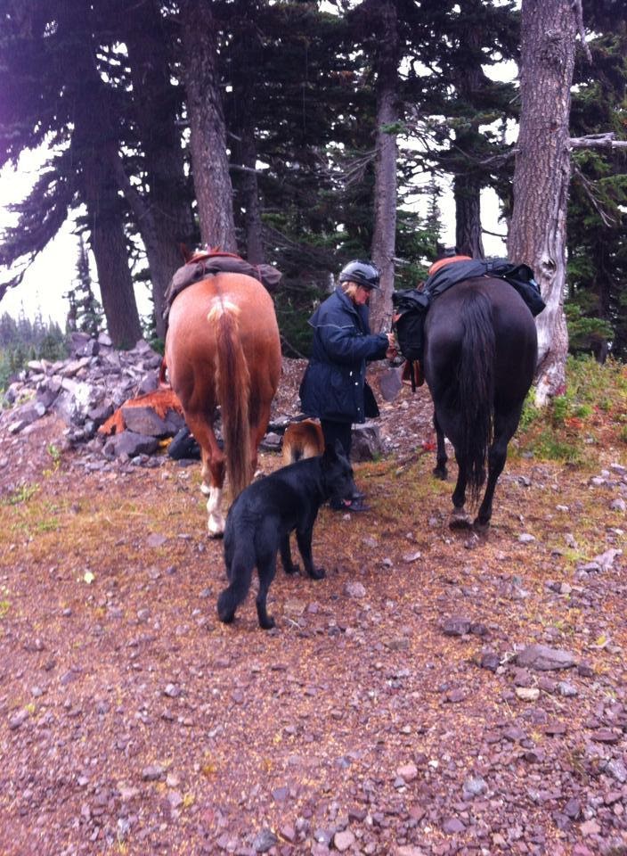 Skeena Stikine