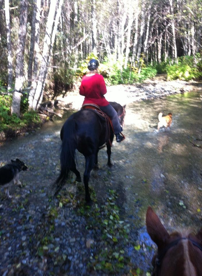 Skeena Stikine