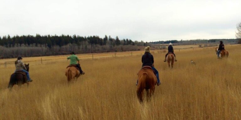 South Cariboo