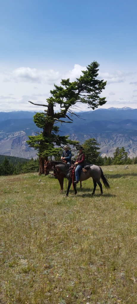 South Cariboo