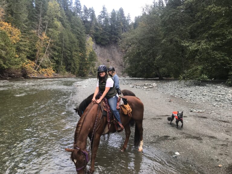 South Vancouver Island